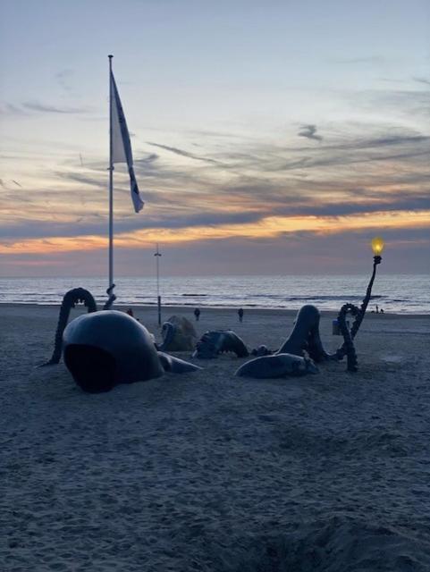 Depannemarkt De Panne Εξωτερικό φωτογραφία